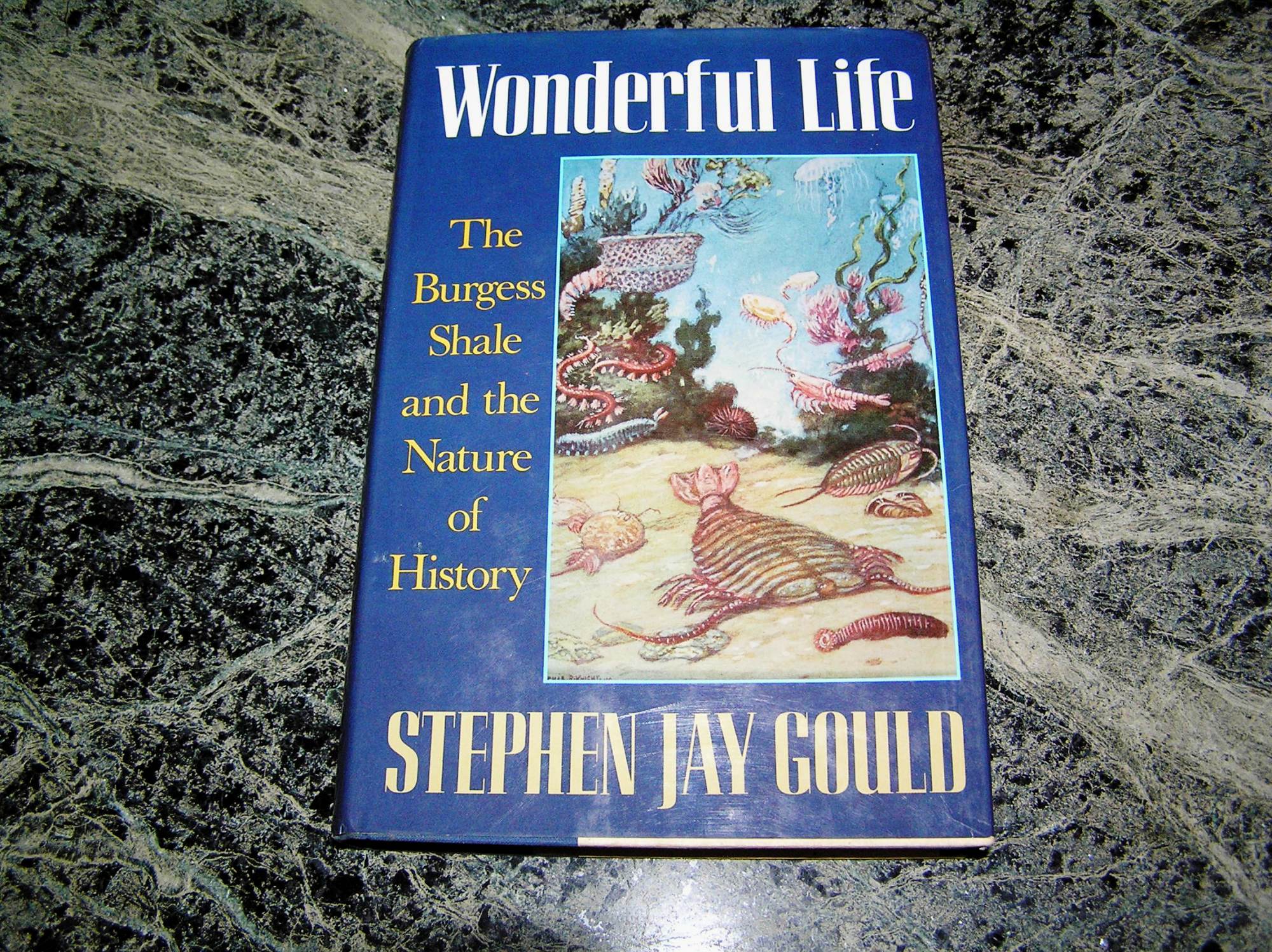 Stiven C. Quldun Burqes Şeyldən bəhs edən &ldquo;Wonderful Life&rdquo; adlı kitabı